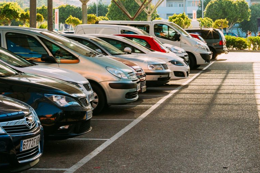 Society Governance Article 2